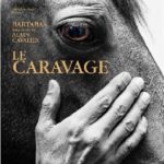 Cinéma : Le Caravage