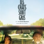 Cinéma : toue les chats sont gris