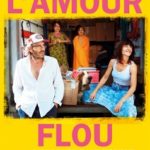 Cinéma : l'amour flou