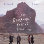 Cinéma : An elephant sitting still